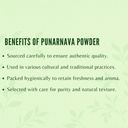 ayurvedashree-punarnava-powder-100-gm-i--6.jpg
