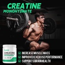 creatine-monohydrate-powder-500g-pure-mi-3.jpg