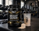 weight-gainer-protein-powder-muscle-mass-4.jpg