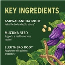 banyan-botanicals-organic-adrenal-nouris-6.jpg