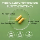 swiss-activa-labs-organic-berberine-supp-6.jpg