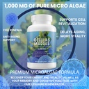4-celulas-madres-afa-stem-natural-cell-6-3.jpg