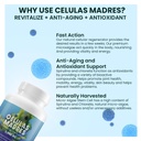 4-celulas-madres-afa-stem-natural-cell-6-5.jpg