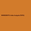 killi-kuppaimeni-indian-acalypha-indian--6.jpg