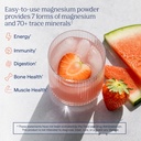 trace-minerals-multi-magnesium-complex-p-2.jpg