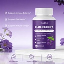 elvera-elderberry-gut-support-complex-or-2.jpg
