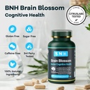 bnh-brain-blossom-brain-supplement-for-m-6.jpg