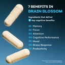 bnh-brain-blossom-brain-supplement-for-m-2.jpg