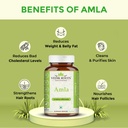 amla-capsules-60-organic-antioxidant-imm-4.jpg