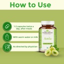 amla-capsules-60-organic-antioxidant-imm-5.jpg