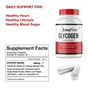 easy-flow-glycogen-support-easyflow-glyc-5.jpg
