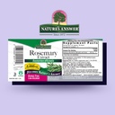 nature-s-answer-rosemary-leaf-with-organ-2.jpg