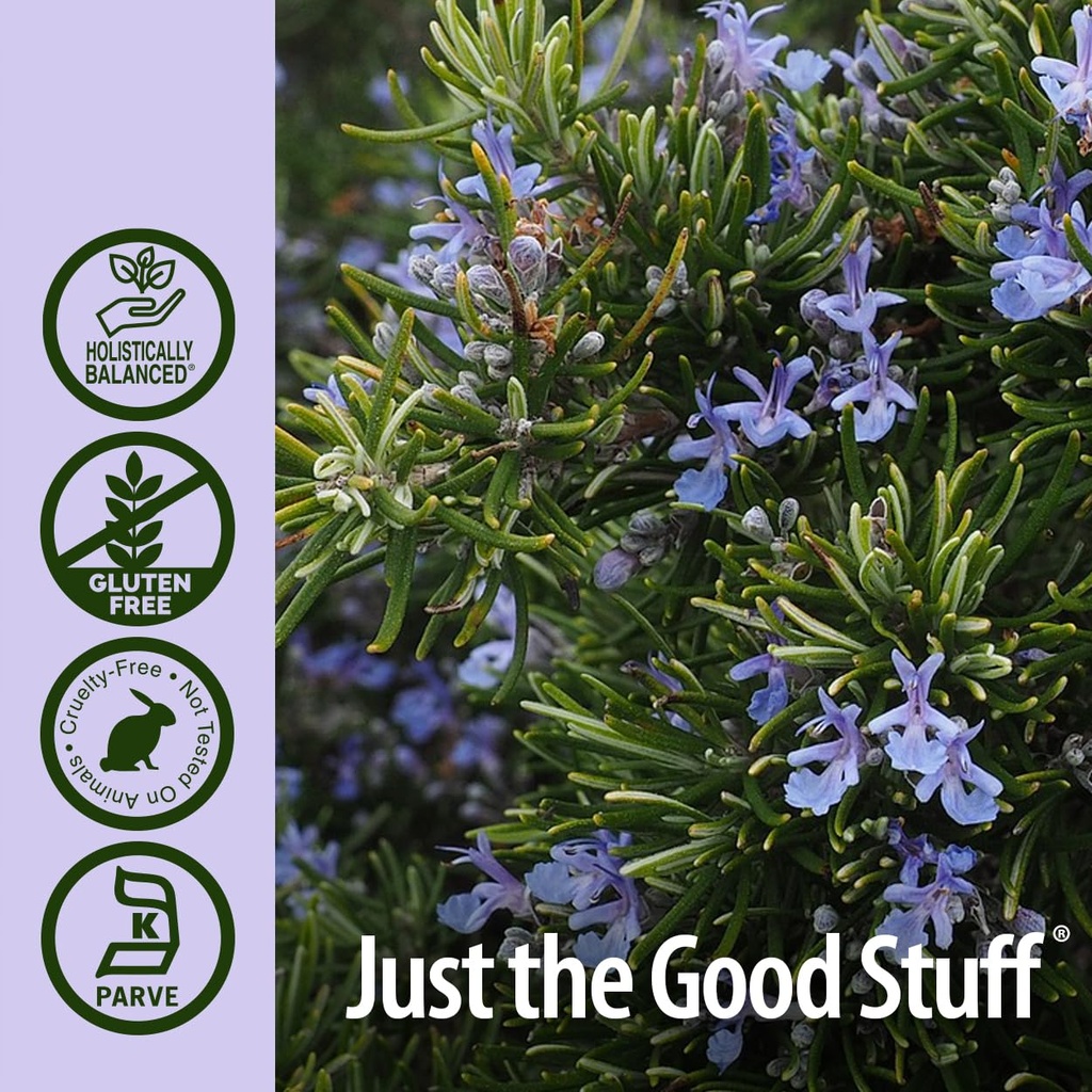 nature-s-answer-rosemary-leaf-with-organ-5.jpg