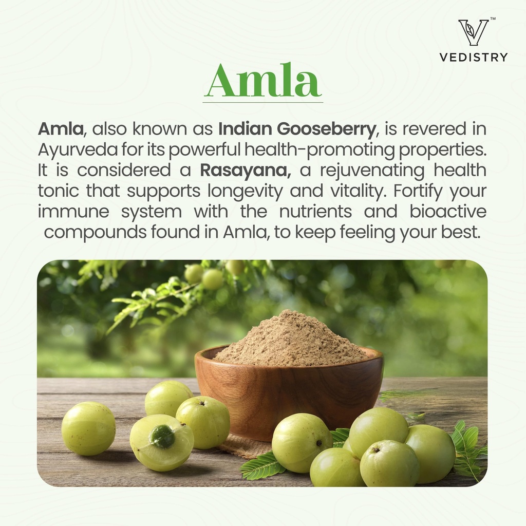 vedistry-amla-supplement-1100mg-indian-g-2.jpg