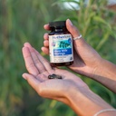 motherlove-more-milk-moringa-180-liquid--5.jpg