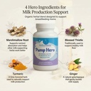 milky-mama-pump-hero-lactation-support-c-3.jpg