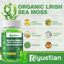2-pack-sea-moss-gummies-120-vegan-irish--6.jpg