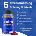nutrachamps-calm-gummies-stress-gummies--3.jpg