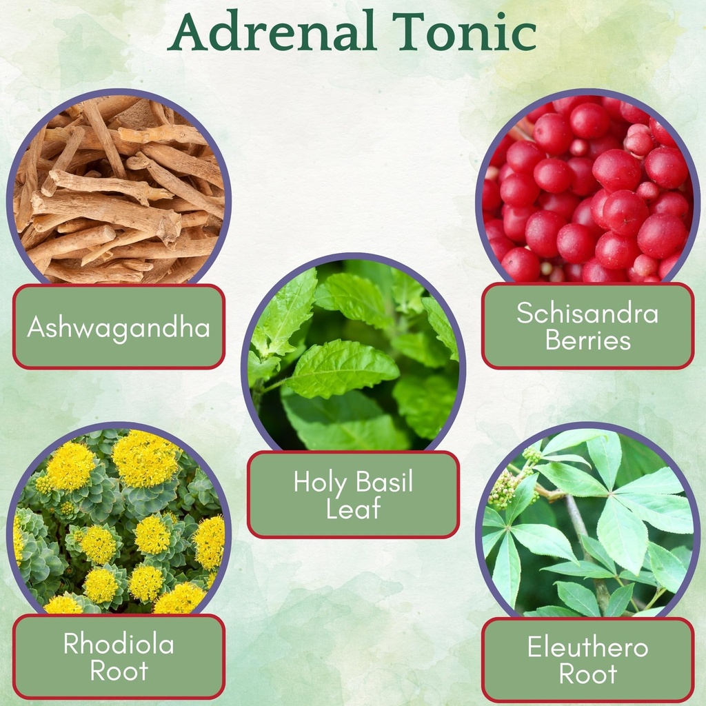 herb-lore-organic-adrenal-tonic-tincture-2.jpg