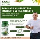 sdh-bonartho-bone-joint-support-suppleme-3.jpg