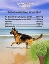 audacious-canine-ketone-superfood-powder-3.jpg