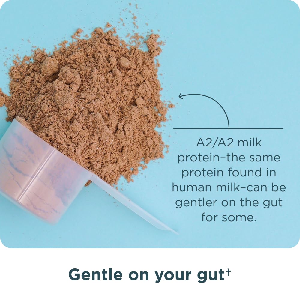 ancient-nutrition-grass-fed-whey-protein-4.jpg