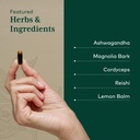 gaia-herbs-pro-nighttime-hpa-restorative-4.jpg