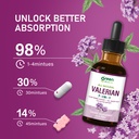 valerian-root-valeriana-sleep-support-dr-4.jpg