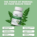moringa-capsules-moringa-powder-organic--4.jpg
