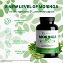 transfer-point-moringa-oleifera-capsules-2.jpg