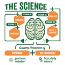 brainjuice-nootropics-brain-support-supp-5.jpg
