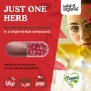 wild-organic-tart-cherry-capsules-600-mg-5.jpg