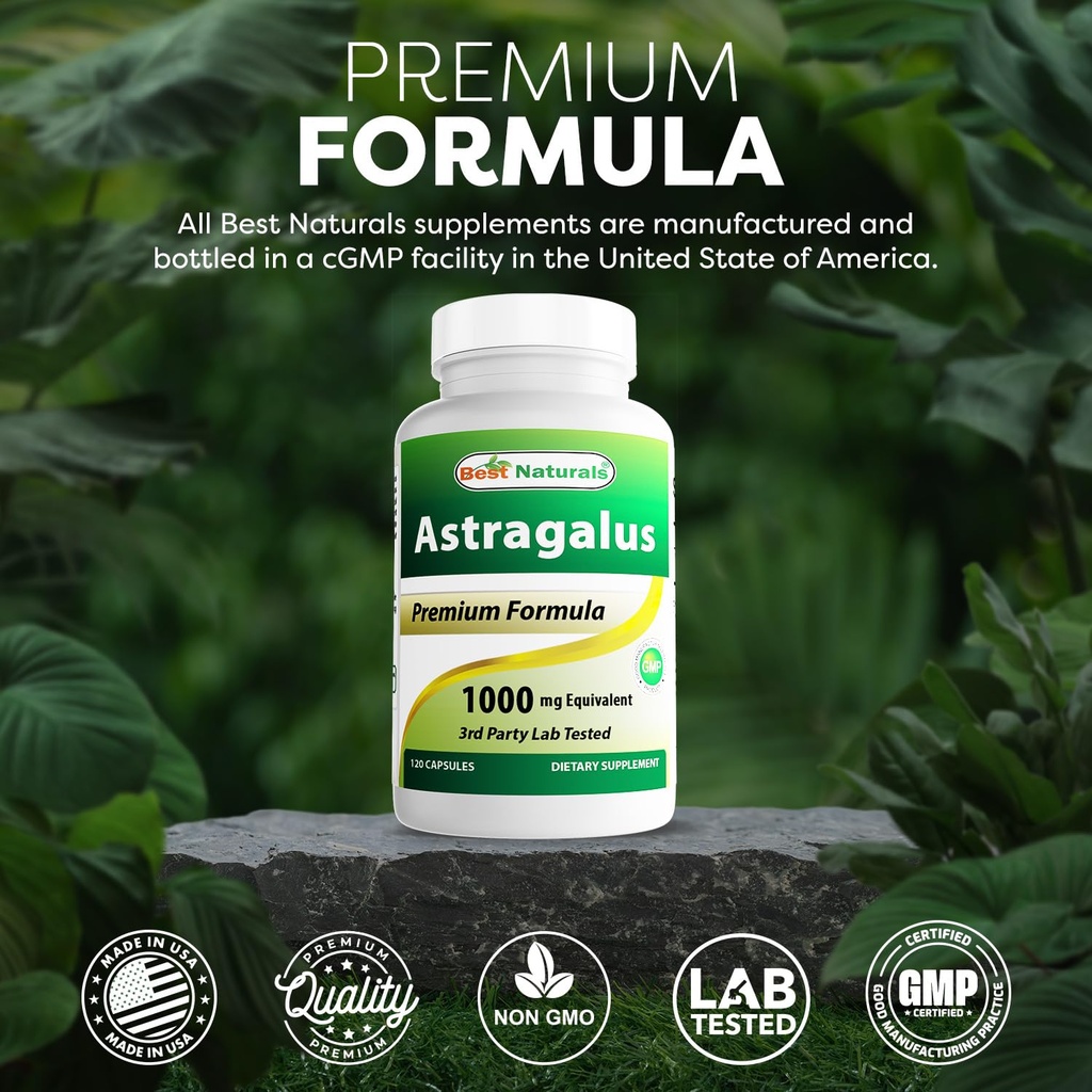 best-naturals-astragalus-capsule-1000-mg-5.jpg