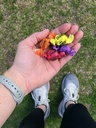 mueller-quench-gum-bottle-electrolytes-c-5.jpg