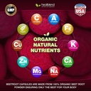 healblend-organic-nitric-oxide-beet-root-4.jpg