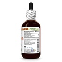 horsetail-alcohol-free-extract-glycerite-2.jpg