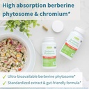 igennus-dual-action-berberine-phytosome--2.jpg