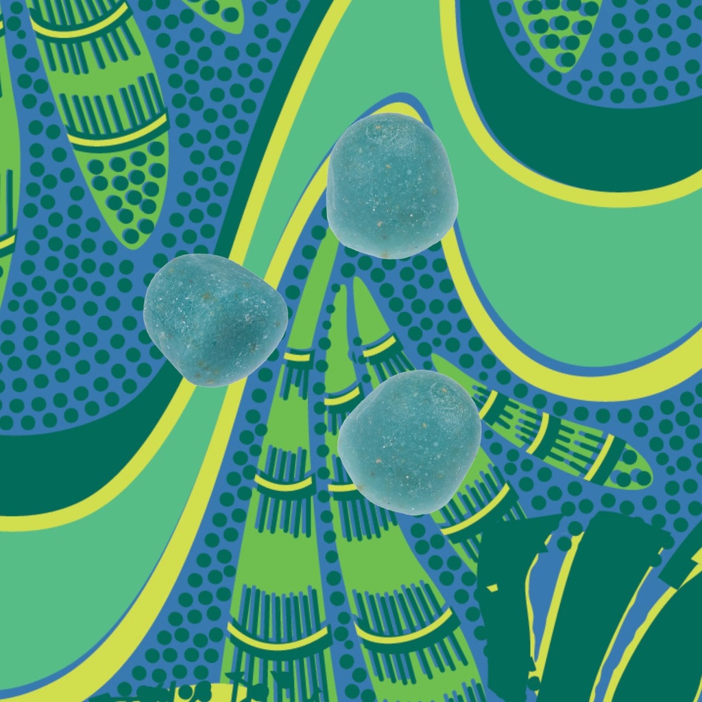 kuli-kuli-organic-sea-moss-blue-spirulin-5.jpg