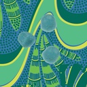 kuli-kuli-organic-sea-moss-blue-spirulin-5.jpg