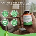 cell-nutrients-promotes-cell-and-membran-4.jpg