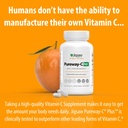 jigsaw-health-pureway-c-plus-vitamin-c-w-5.jpg