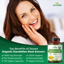 zazzee-dandelion-artichoke-milk-thistle--6.jpg