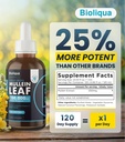 balance-bioliqua-mullein-drops-for-lungs-3.jpg