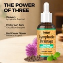 lymphatic-drainage-drops-features-cleave-3.jpg