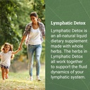 earth-harmony-lymphatic-drainage-drops-l-3.jpg