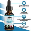lymphatic-drainage-supplements-candi-cle-2.jpg