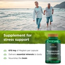 swanson-magnesium-l-threonate-brain-and--3.jpg