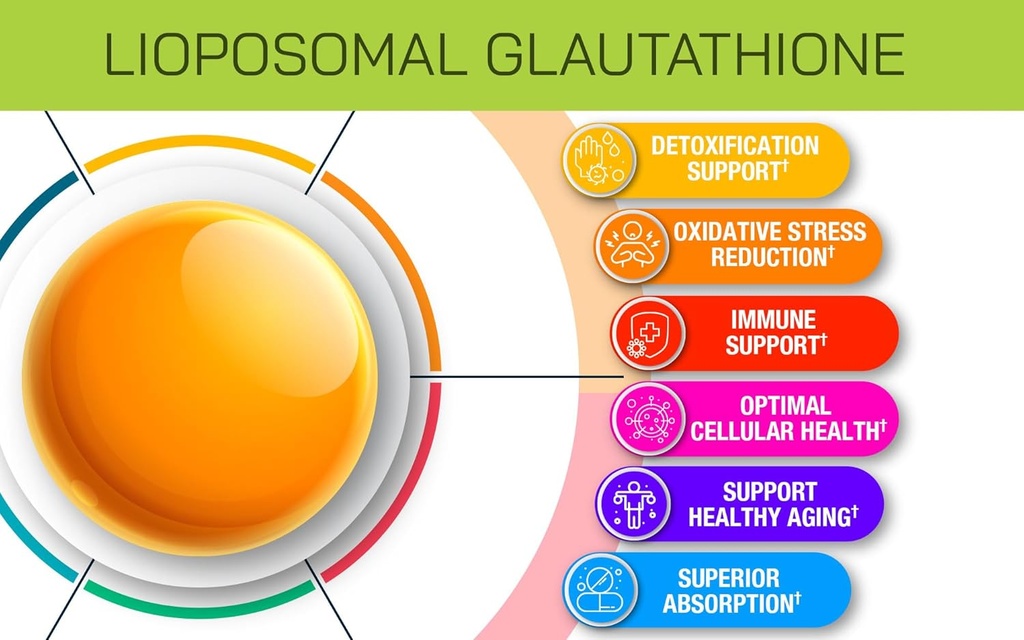 liposomal-glutathione-supplement---pure--5.jpg