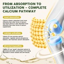 calcium-citrate-1200-mg-with-vitamin-d3--4.jpg