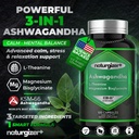 ashwagandha-ksm-66-with-magnesium-glycin-2.jpg